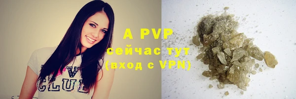 эйфоретик Новый Уренгой