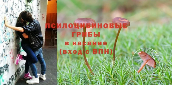 меф Медногорск