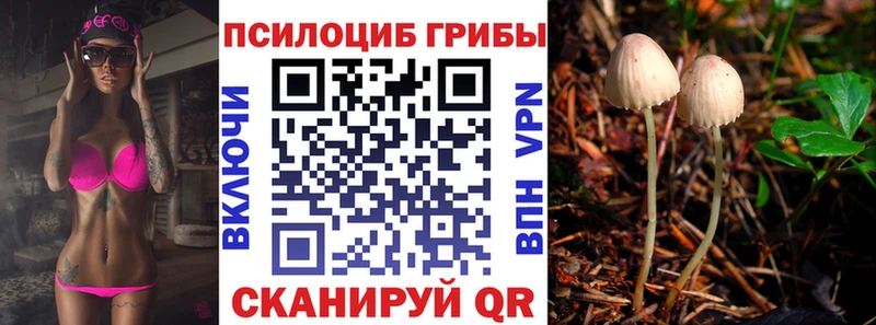 KRAKEN ссылка  Циолковский  Псилоцибиновые грибы мухоморы  что такое  